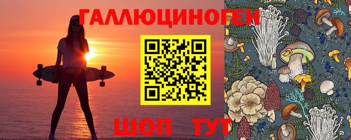Вологда  Галлюциногенные грибы Psilocybine cubensis  Псилоцибиновые грибы Magic Shrooms  Вход с VPN 